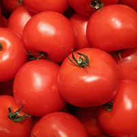 �@5�N�߲� ����Ը��I�B