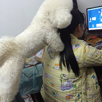 ����һ���������������ġ���ֱ��������