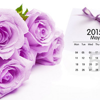 2015��5��������ֽ