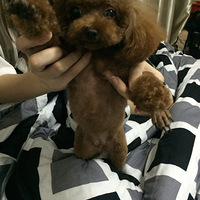 ����֮��+������������СQ