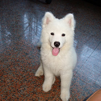 ������֮�ǡ������������Դ�~