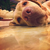 ������֮�ǡ�+С�¶���
����Ů�޶�������