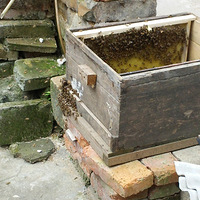 ��ɽ������