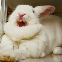 ������֮�ǡ�+���������-����