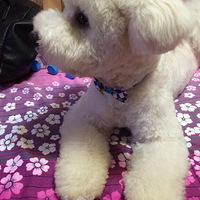 ������֮�ǡ�������˵����һ�Ŵ��޻� �����㿴��