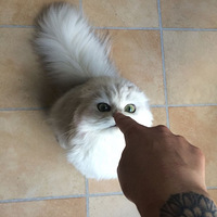 ��Ȥ��������գ�