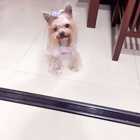 ��С�ǵĳɳ���Ƭ����ӭΧ��