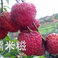 ������α�������֦Ʒ��