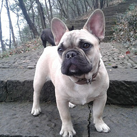 ������֮�ǡ������С�ס�ڿ����ʻ���¶̨��