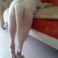 ������֮�ǡ�"����ס����� ȫ���ˣ�