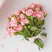 ˣӯӨ freshֻḧ