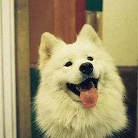 ��ÿ��֮�ǡ������� so easy~��