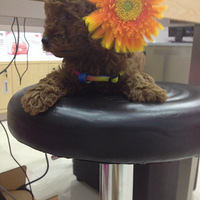 �ȱ����ĳɳ��ռ�