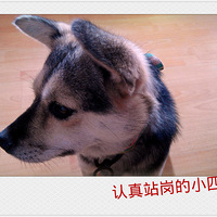 ������֮�ǡ��Ҹ��񻨶�һ���ġ���С�ġ���~