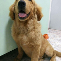 ������֮�ǡ�+�����Ķ���strong