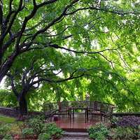 ���������ٻ���