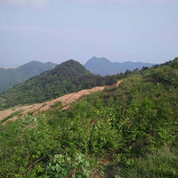 ��������ũ�����