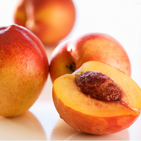 ��ײ˵ļ۸�����򵽸ո����еĴ�����  ��ͷ�ִ��ֺ�¶��ɳ�