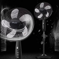 ֪������Ȼ�е��79Ԫ��ң�ؿ�109Ԫ�����������������Ŷ��