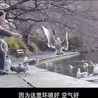 ����Ϊʲô������