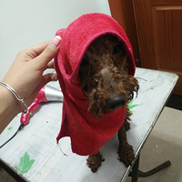 ϴ�������� ��������������