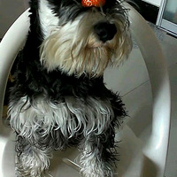 ����~~������ʳ������