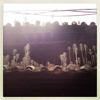 ���ֹ�ȥ�л��䣬����ʱ�������