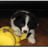 ��֪�����м���ı�������7�������