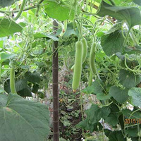 ʳƷ��ȫ���ǰ�~�л����ߣ���ȫ��һ