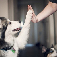 ����Щ�����������˻����ư�~