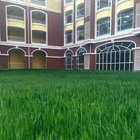 #���˼ҵ��̻���#�̻�����С�� �����ջ�2000��