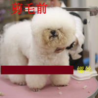 �㹷�����϶������� �������Լ��ģ�����ǰ�󡣡���