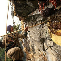 Ϊʲô����û��ҽ����ص���ô����