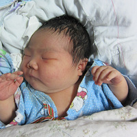 ���������ĸ��׽ڡ�ûͷ������Ҳ������ʱ��