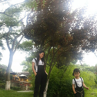 �����ı���