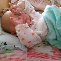 �����ı���