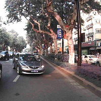 ��������ʻ��Ů˾����ţ