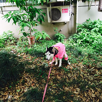 �������С��