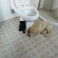 ������֮�ǡ�+�������������