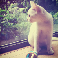 ������֮�ǡ���������������֮ ��ʯ��