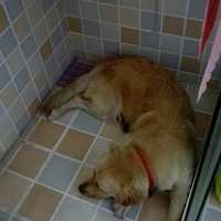 �ҷ����ҵĹ���ɵ��~