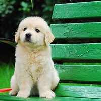 Ƿ���ǵ������ո�43���������^^^^^^^