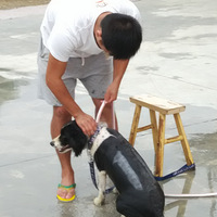 �������ˣ��Լ���������ëO(��_��)O~