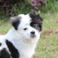 ���ж��������ɣ����ҼҶ�����ϱ��...