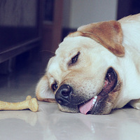 Tony�ܵܳ����~~~