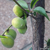 ������ȫ�ĺ������ˣ��ʹ��һ�������ͼ��