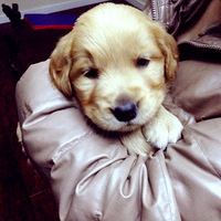 �������յ�����ԭ��ֻ��2���µ�ʱ��~~~~~~~~