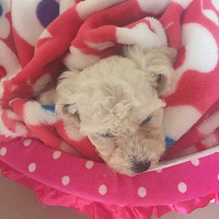 �Һ��Ҽҵĳ���:Ů��Amy