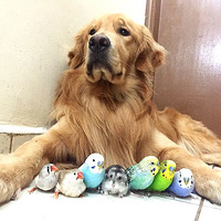 ���겻�������£�ֻ�����ҽ�Ѱ֮��