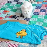 ����è�Ѻϼ� ��Ǯ�������������ˣ�